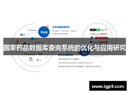国家药品数据库查询系统的优化与应用研究
