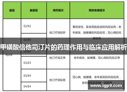 甲磺酸倍他司汀片的药理作用与临床应用解析