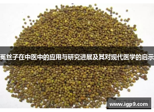 菟丝子在中医中的应用与研究进展及其对现代医学的启示